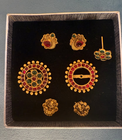 Tejaswi - Bright and beautiful changeable earrings